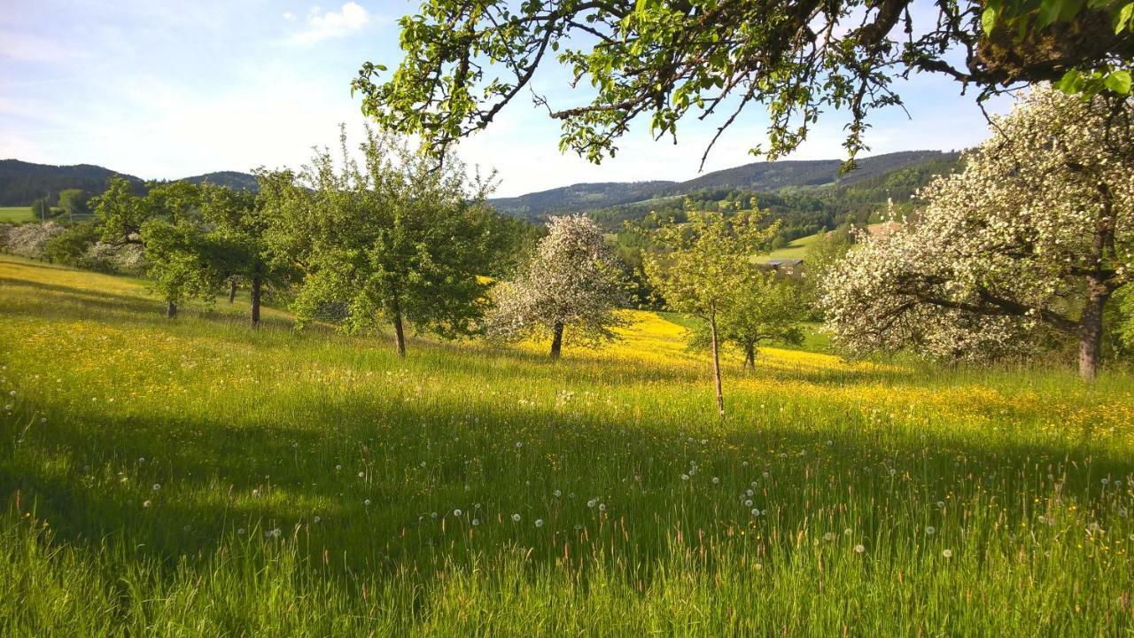 Ferien Vom Ich, Bayerischer Wald, Hotel & Restaurant Neukirchen  Exterior foto